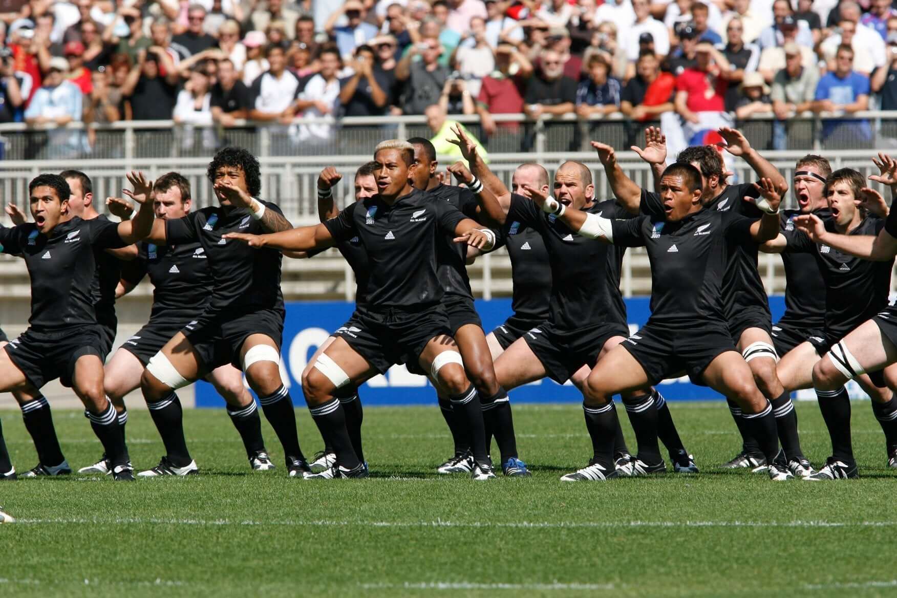 Times have changed since an Australia Bledisloe Cup Win. - Absolute Rugby