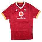 XS - Size 8