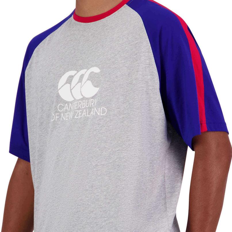 Canterbury Legends Raglan T - Shirt 24/25 - Grey |T - Shirt | Canterbury 24/25 | Absolute Rugby