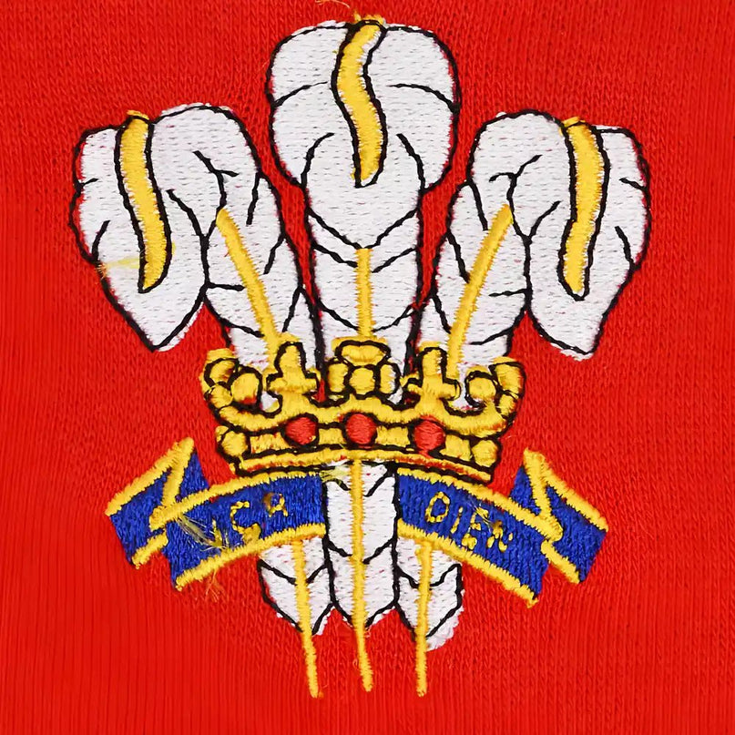 Kids Wales Hoodie - Red/White |Product - Football Shirts | Toffs | Absolute Rugby