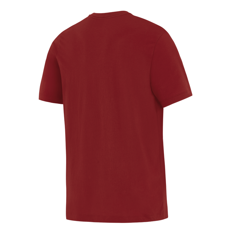 Nike British & Irish Lions Evergreen Mens T-Shirt |T-Shirt | Nike British & Irish Lions | Absolute Rugby