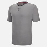 Wales Rugby Travel T-Shirt 22/23 - Grey