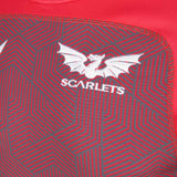 Scarlets Training Rugby Jersey 21/22 |Training Jersey | Macron Scarlets | Absolute Rugby