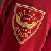 Wales Rugby 1976 Grand Slam Polo Shirt |Polo Shirt | Ellis Rugby | Absolute Rugby